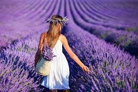 Isparta Lavanta Festivali Turu