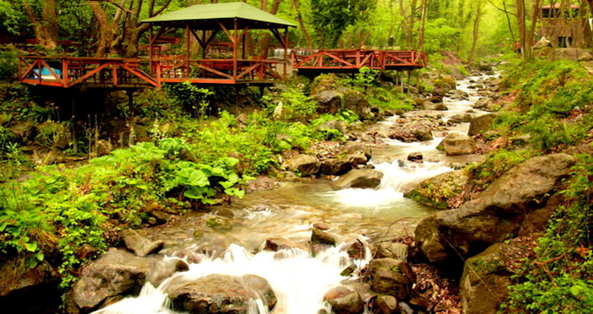 Kartepe Sapanca 