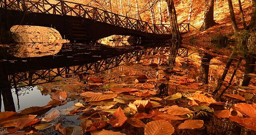 Abant Yedigöller Turu