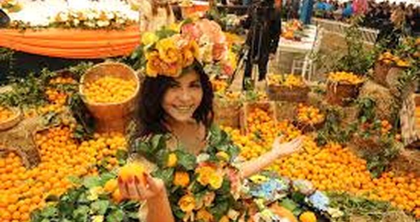 Seferihisar Mandalina Festivali