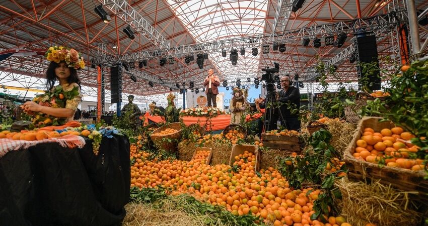 Seferihisar Mandalina Festivali