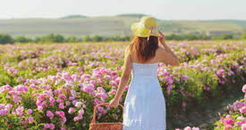 Isparta Gül Festivali Turu