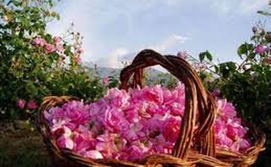 Isparta Gül Festivali Turu