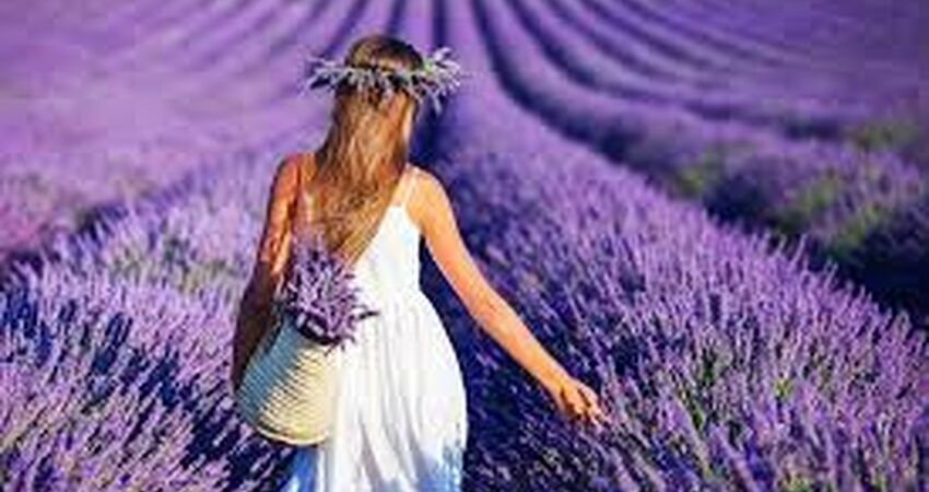 Isparta Lavanta Festivali Turu