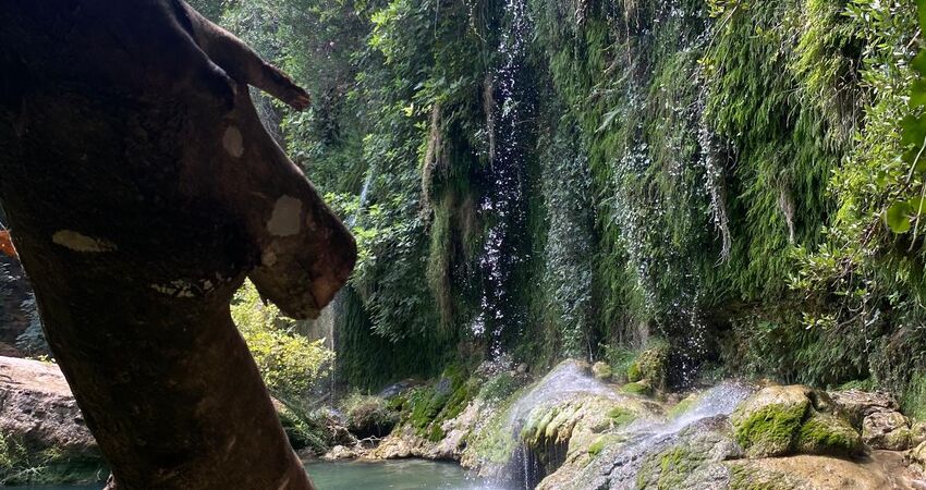 Olympos Tatili 3 Gece 4 Gün